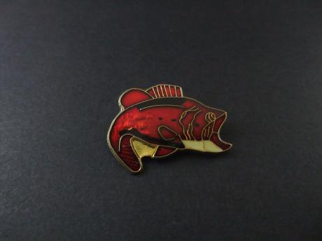 Forel zalmachtige zoetwatervis ( rood)